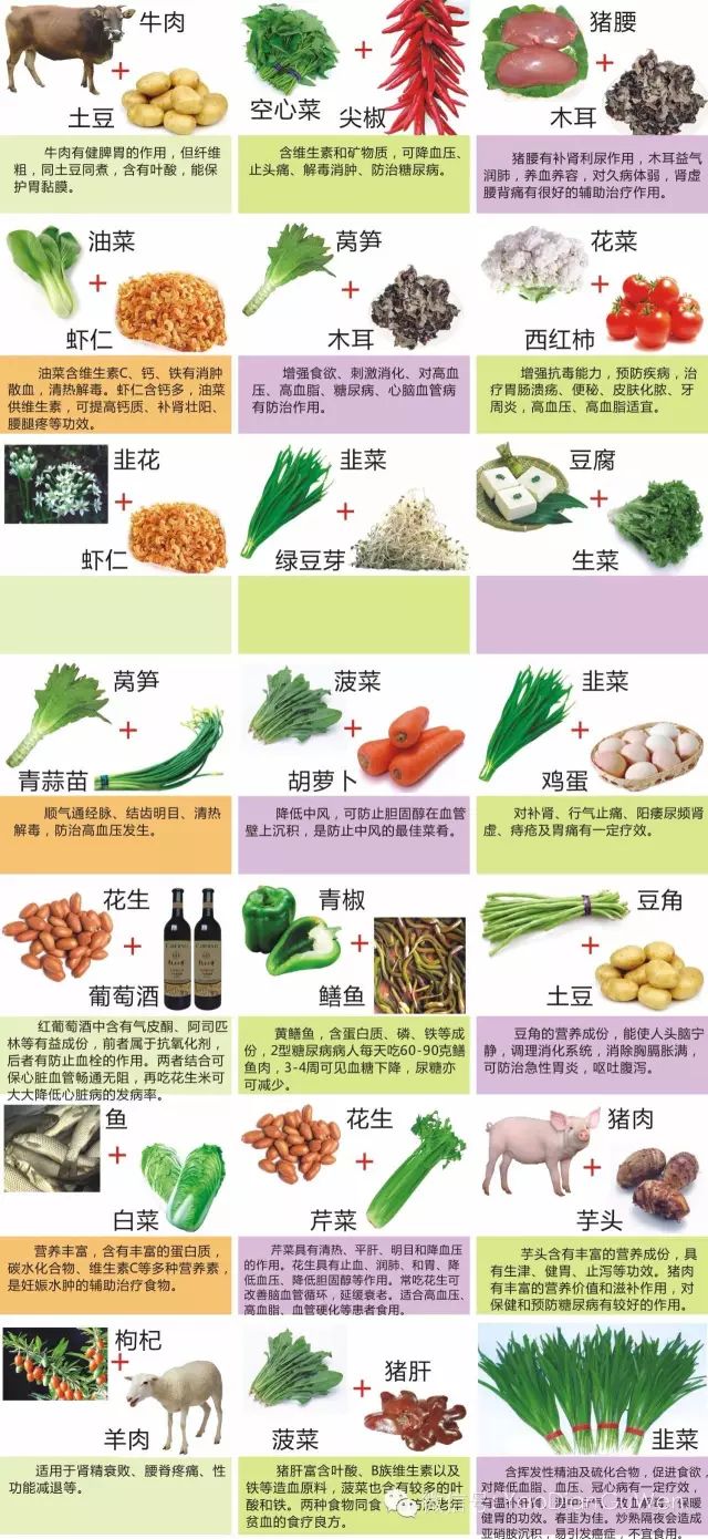 【专业篇】食物相生 相克=图谱