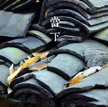 平日里也许说话最臭