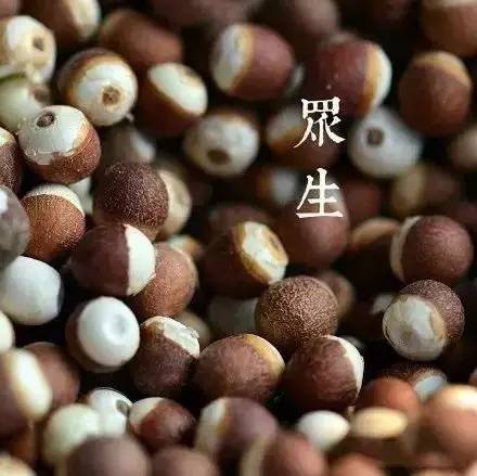 因暖心而情义交换