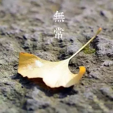 打开了心窗