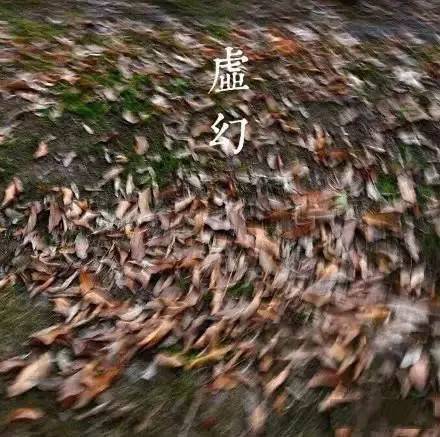 也无需解释