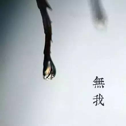 顺其自然最好