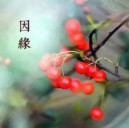 贵在风雨同行