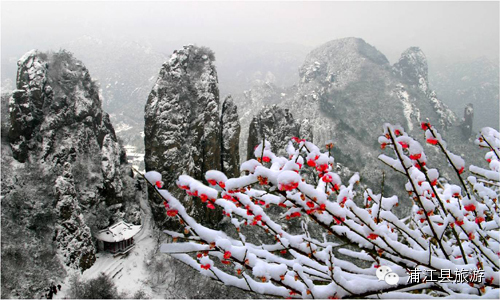 旅游推荐这个冬天谁能陪我去看雪