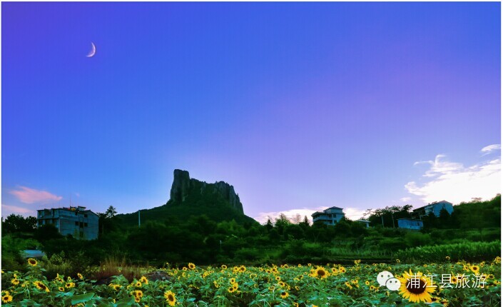 【旅游特刊】浦江旅游好去处