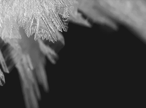 你那里下雪了吗?