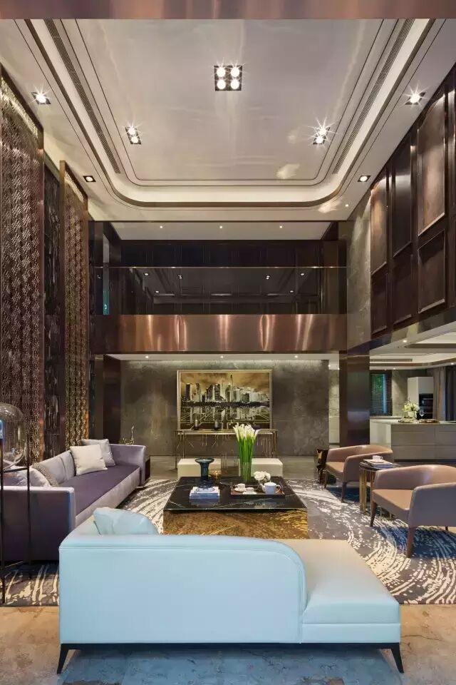 方磊| 新贵居所，细节关乎品位——华侨城十号院作品