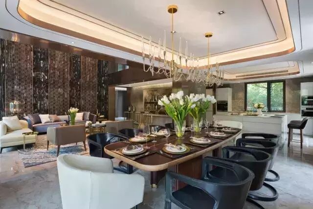 方磊| 新贵居所，细节关乎品位——华侨城十号院作品