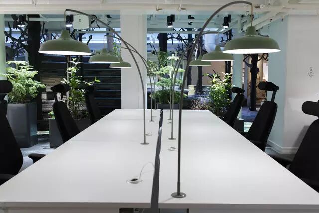 开发 Candy Crush 的公司，把办公室变成了森林！