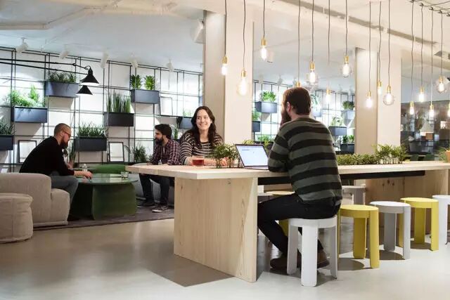 开发 Candy Crush 的公司，把办公室变成了森林！