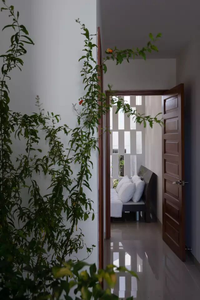 这个越南的狭长居宅，不仅通透明亮而且自然环保！