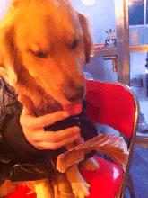 桂林的哥的姐好翘啵，高峰期就是不搭人440 / 作者:thkfh / 帖子ID:106172