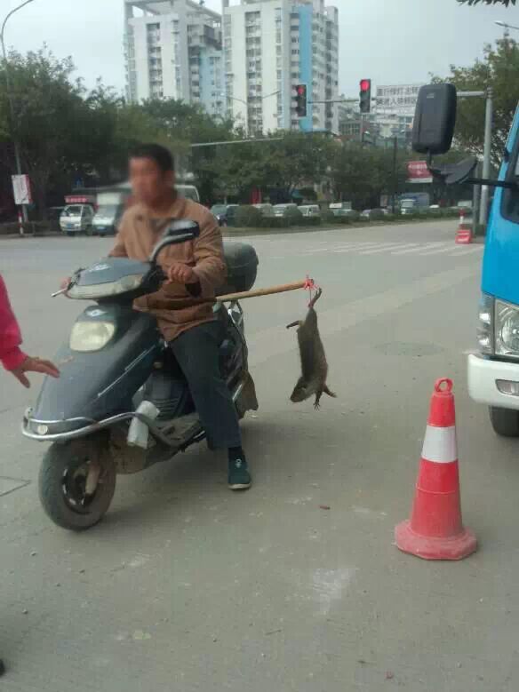 平乐渣男撞人不管 两小时后还返回现场抛尸！206 / 作者:奇葩处处有 / 帖子ID:106248