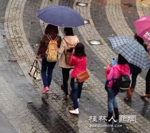 平乐渣男撞人不管 两小时后还返回现场抛尸！815 / 作者:奇葩处处有 / 帖子ID:106248