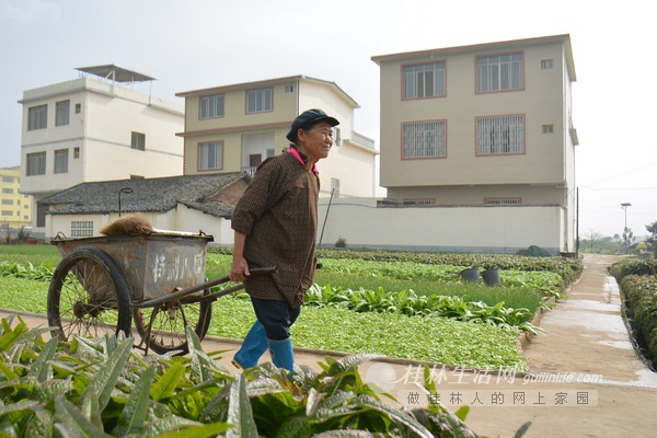 77岁老人干保洁 说扫地比打牌跳舞有贡献576 / 作者:猫小萌 / 帖子ID:106553