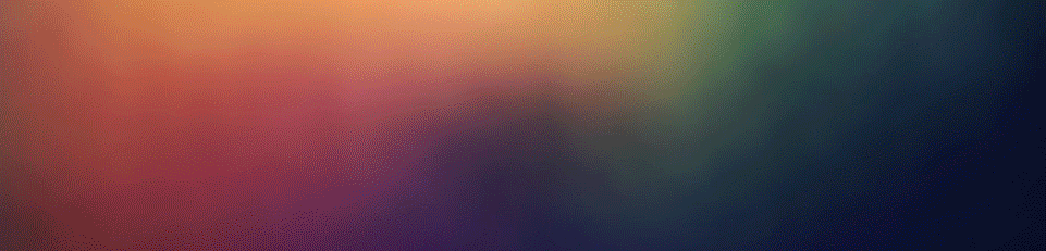 kiwi鸟 【新西兰之行】–几维鸟kiwi