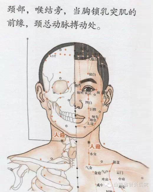 两侧交替进行.同时配合风池穴可增强降压效果.