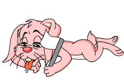 美国人为何从不崇尚