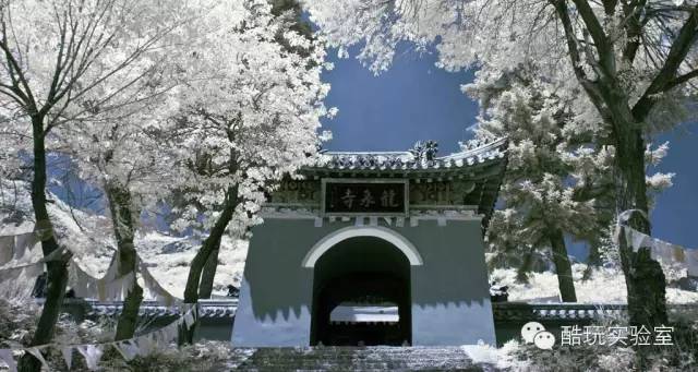高科技人士纷纷出家爆红北京佛寺