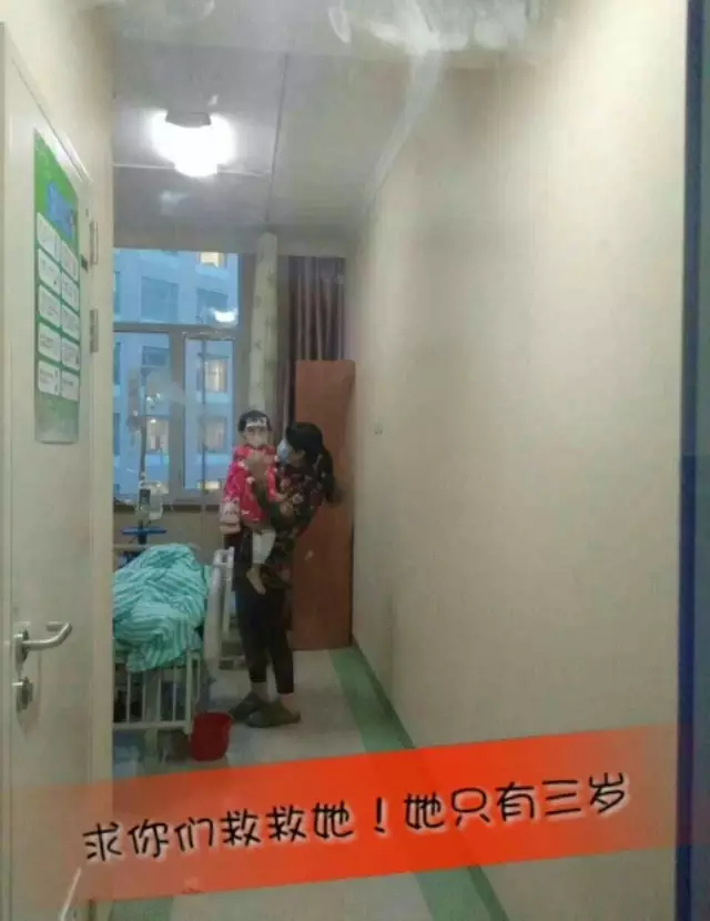 登录查看大图