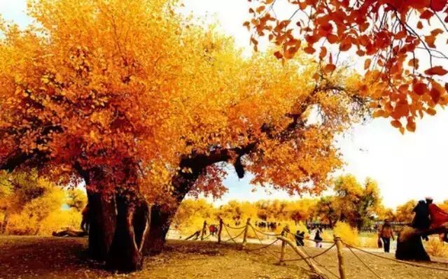 九月份了,国内九个地方美得如梦如幻!