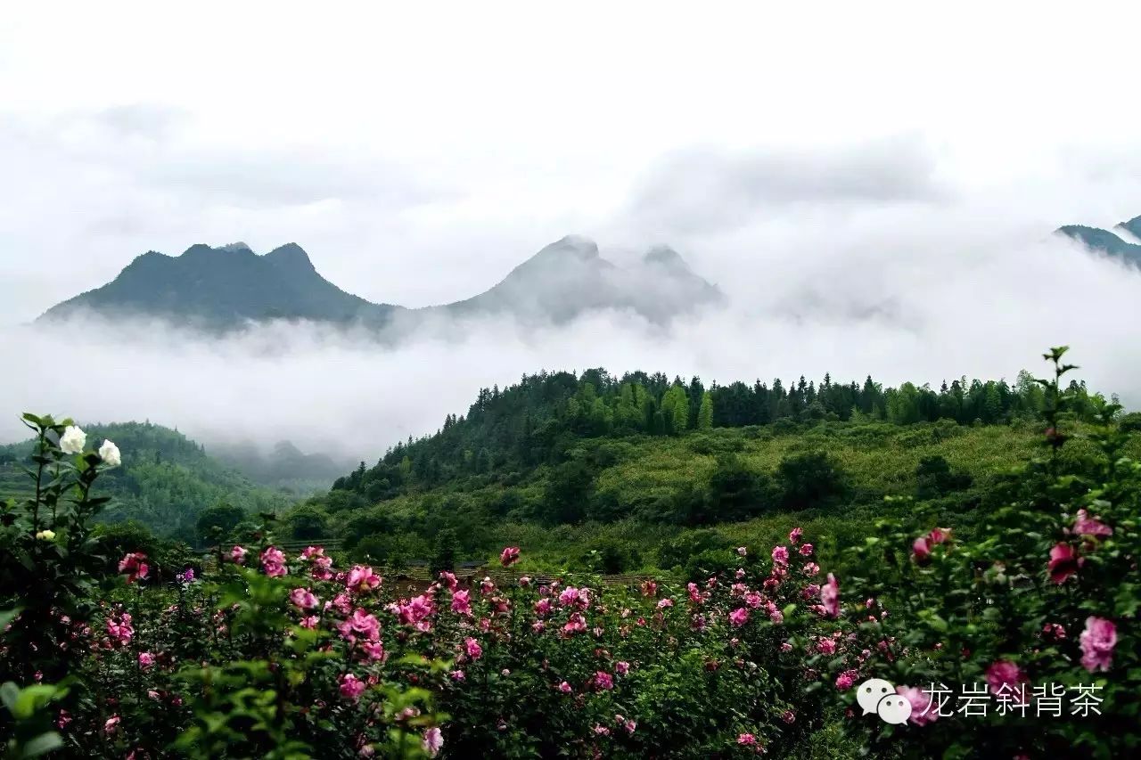 睡美人山