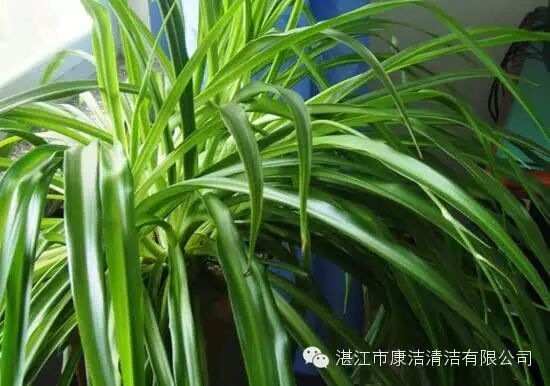 新聞動態丨資訊-湛江市康潔清潔有限公司