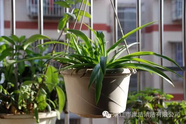 新聞動態丨資訊-湛江市康潔清潔有限公司