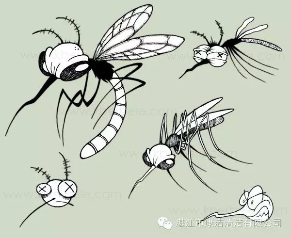 新聞動態丨資訊-湛江市康潔清潔有限公司