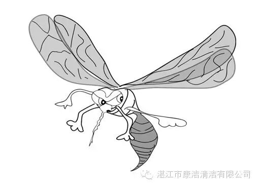 新聞動態丨資訊-湛江市康潔清潔有限公司