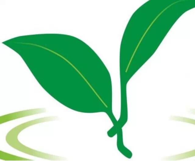 华西村人均收入_人均茶叶消费量