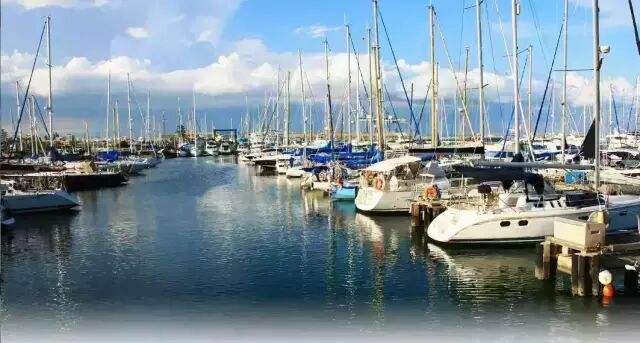 在吗？我想跟你聊聊利马索尔