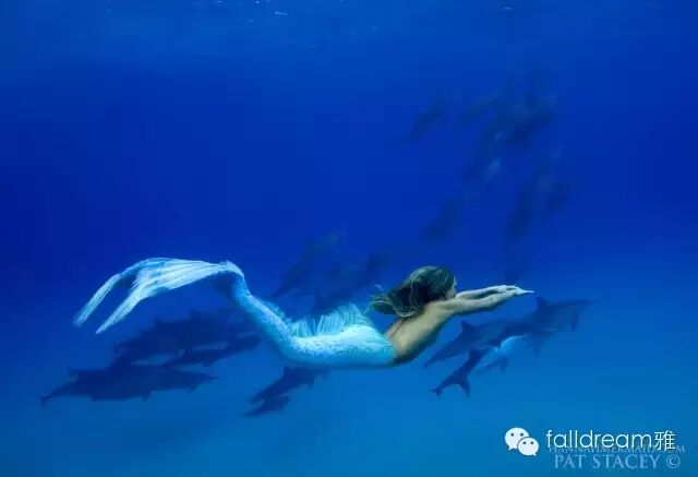 这是一条比星爷的美人鱼更爱海洋的美人鱼