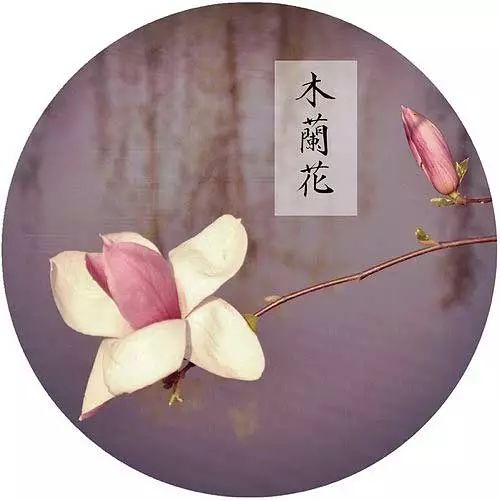 领 悟 - 丛中笑 - zqsxjf的博客 领 悟 - 丛中笑 - zqsxjf的博客
