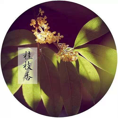 领 悟 - 丛中笑 - zqsxjf的博客 领 悟 - 丛中笑 - zqsxjf的博客