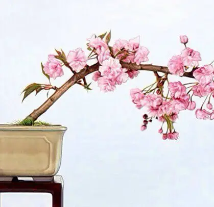 择真善人而交,择真君子而处! - 琳琅 - 琳琅博园欢迎您 择真善人而交,择真君子而处! - 琳琅 - 琳琅博园欢迎您