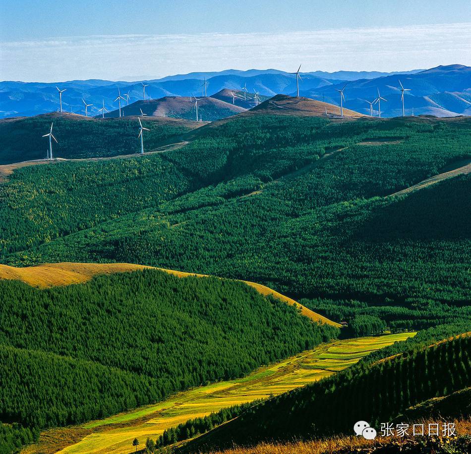 牛x的张家口牛x的美景