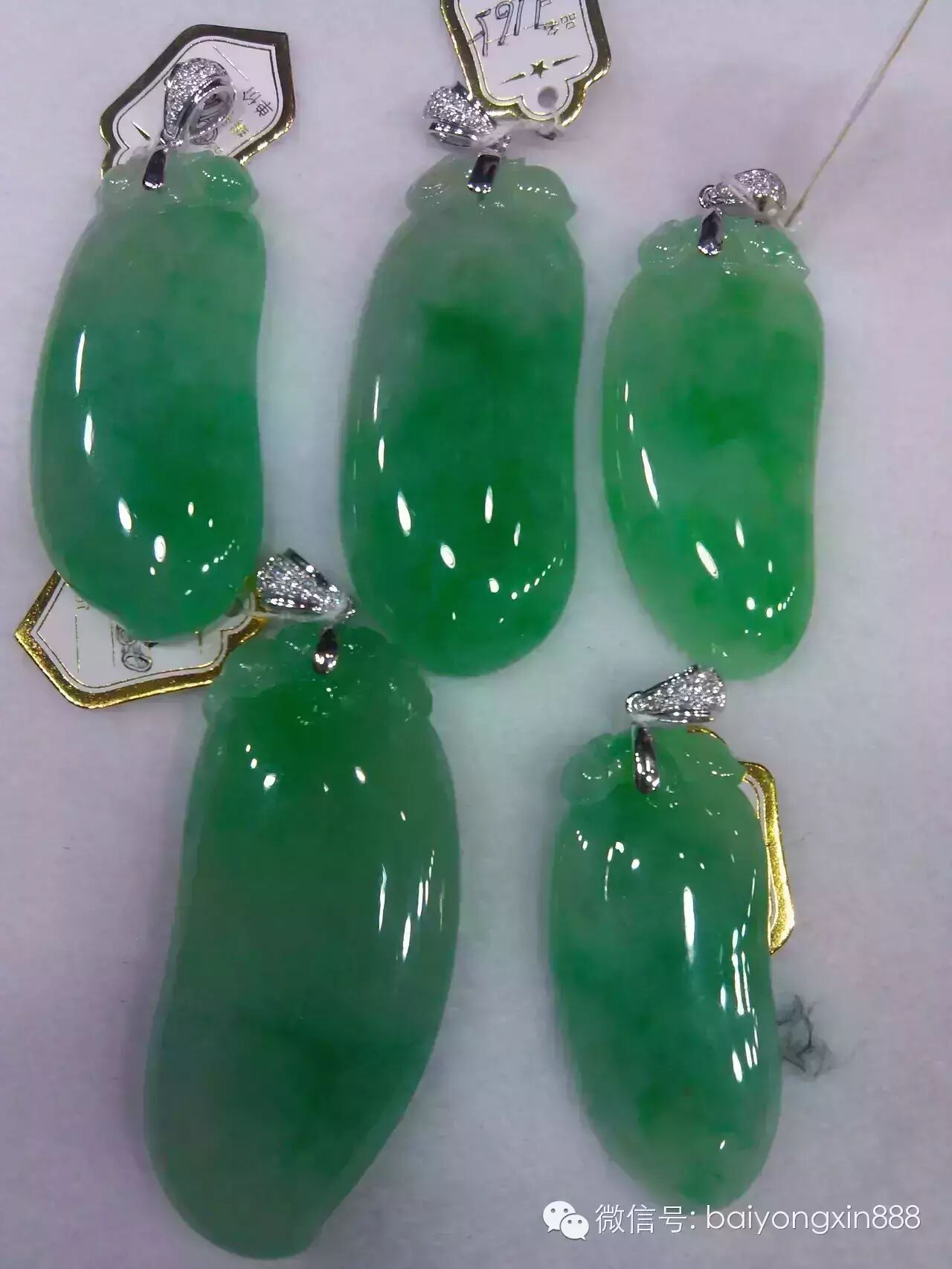 陈小春&应采儿:在全世界面前拽得要死,也有人让你一下...