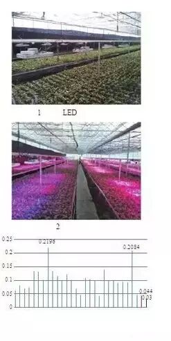 农业照明没那么简单 几大核心问题待解决