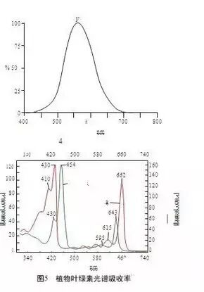 农业照明没那么简单 几大核心问题待解决