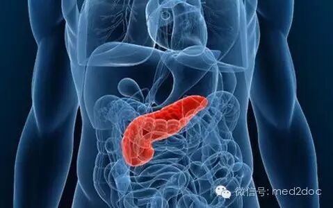 体检没查出胰腺癌，医院该不该赔偿？