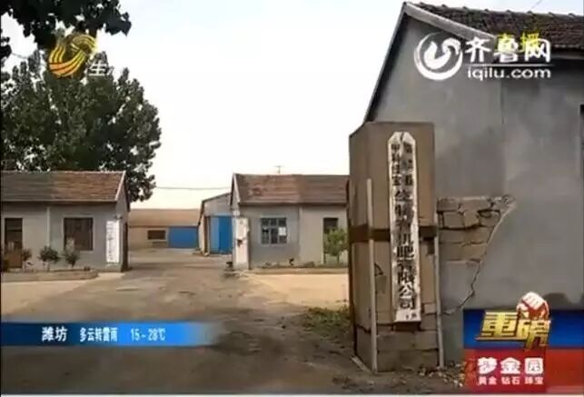 追踪施用不合格有机肥,山东千馀棵苹果树烂根!正规公司竟产假冒肥料为哪般?-怀孕期