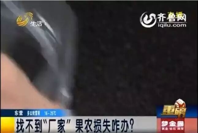 追踪施用不合格有机肥,山东千馀棵苹果树烂根!正规公司竟产假冒肥料为哪般?-怀孕期