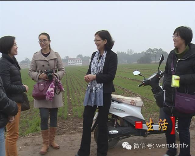 怀山药饮料太龙大健康_金健康山药化妆品_金士力金士力大健康
