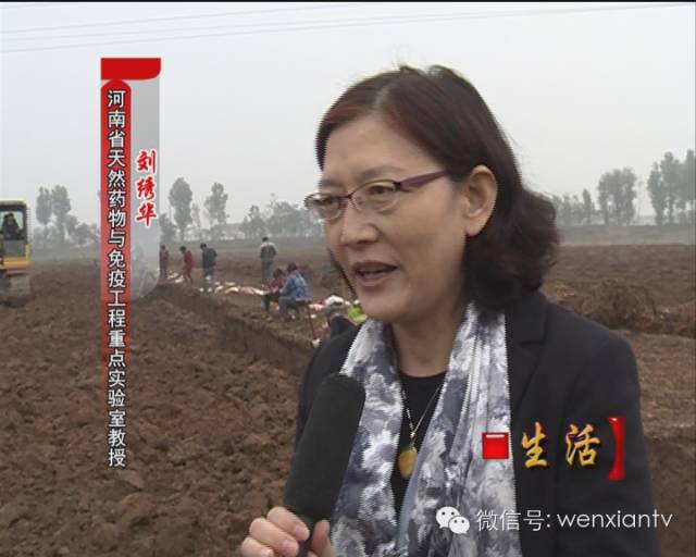 金健康山药化妆品_金士力金士力大健康_怀山药饮料太龙大健康