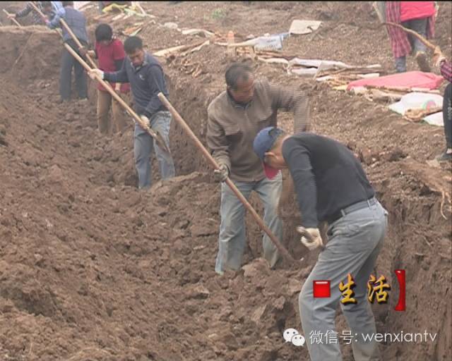 怀山药饮料太龙大健康_金士力金士力大健康_金健康山药化妆品