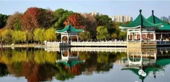 厦门是省还是市_生源地是省还是市_武汉市是哪个省