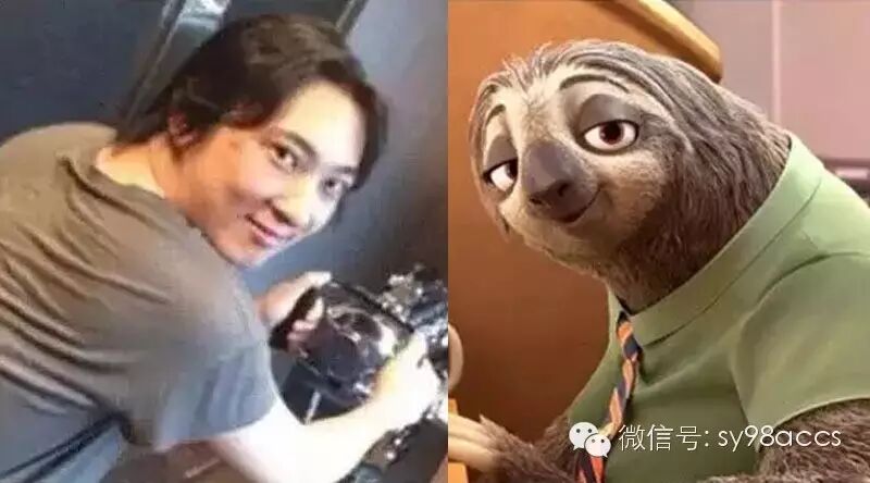 树懒这货,不只是长的像王思聪那么简单~