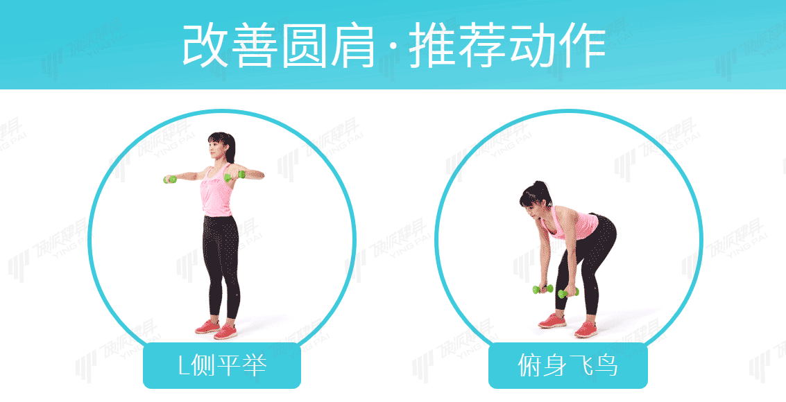 面拉：一个对肩关节形态、健康和改善圆肩等体型有效的动作-第14张图片-体能网