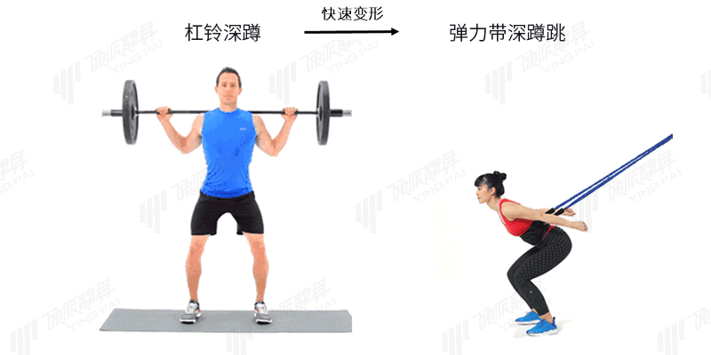 (*图片中杠铃深蹲来自网络)></p></a>>>杠铃深蹲:和俯卧撑一样,如果你想增加